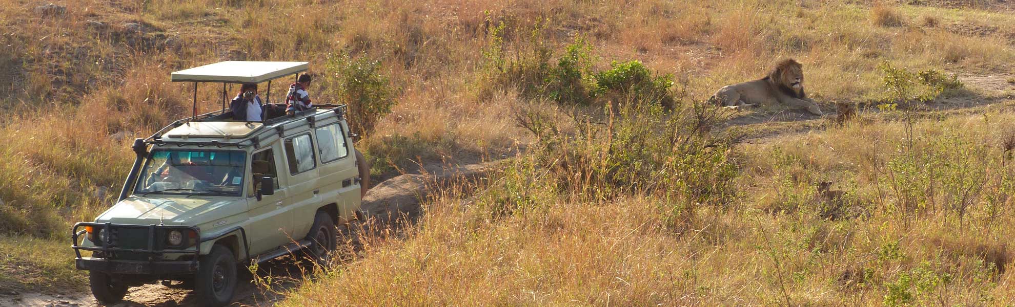 safari in kenya 7 giorni